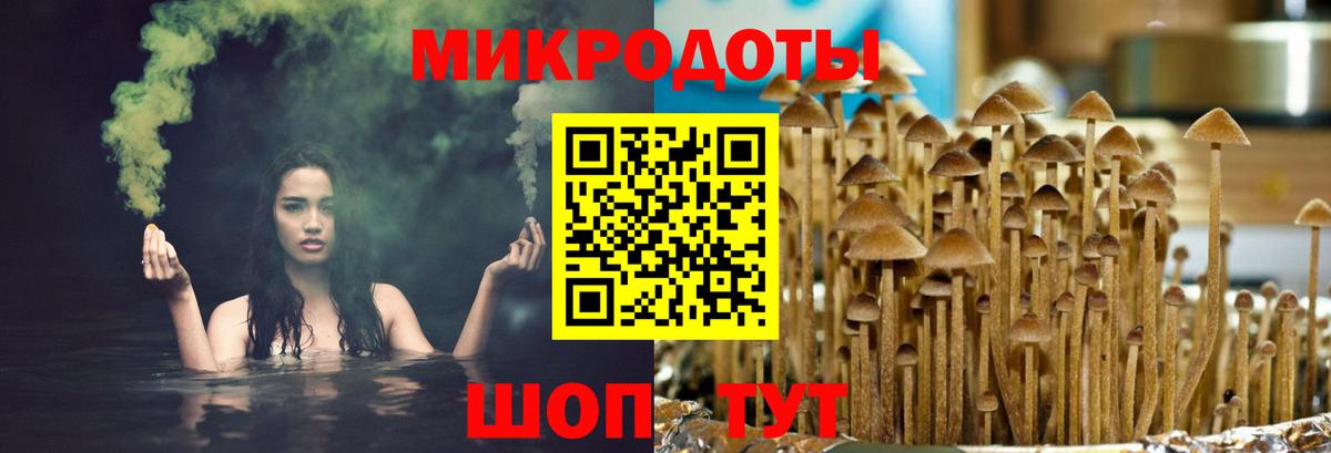 даркнет сайт  Вход с VPN  Снежинск  Псилоцибиновые грибы мицелий 
